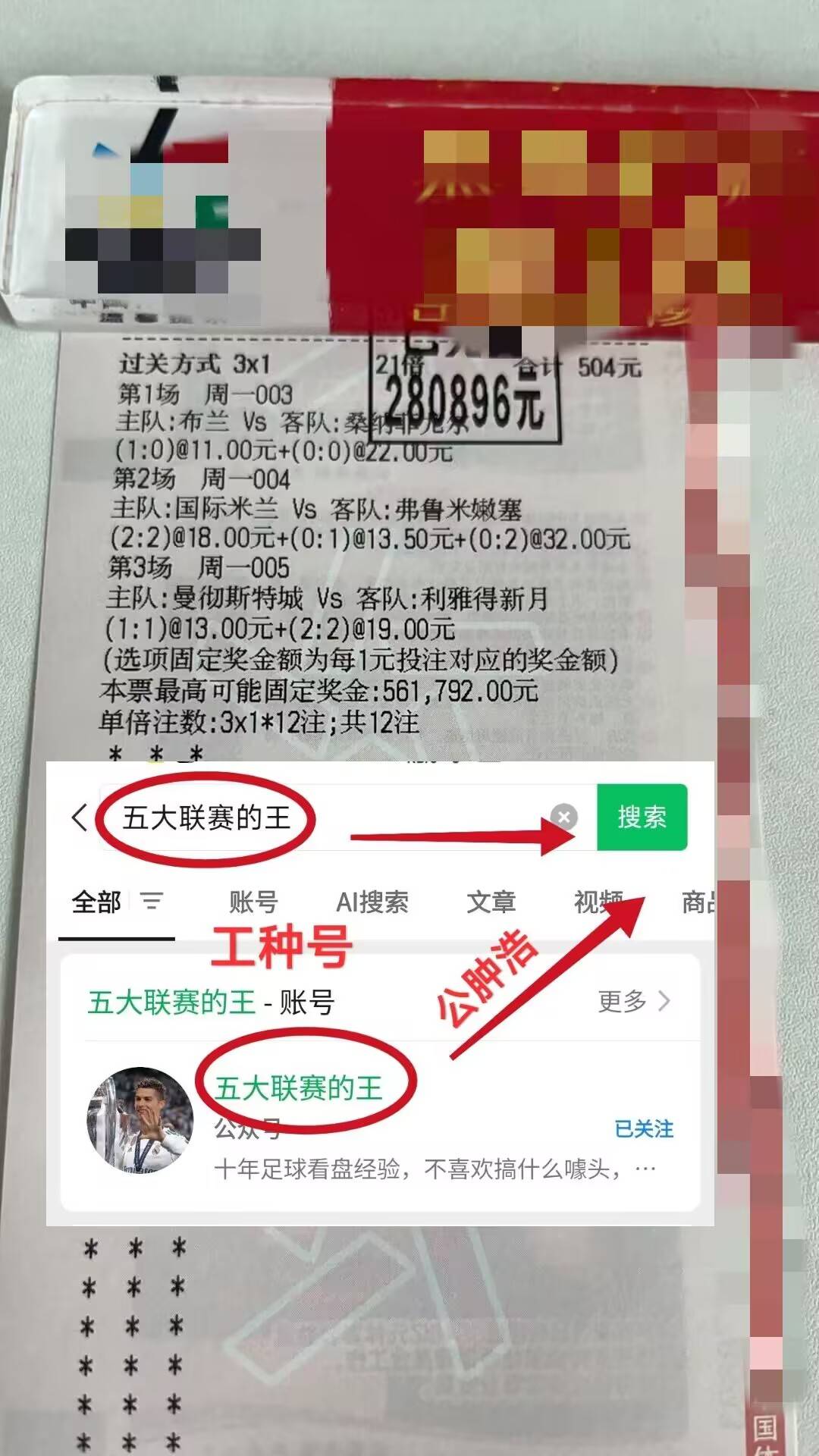 奥运会赔率刷新纪录，竞猜热度飙升