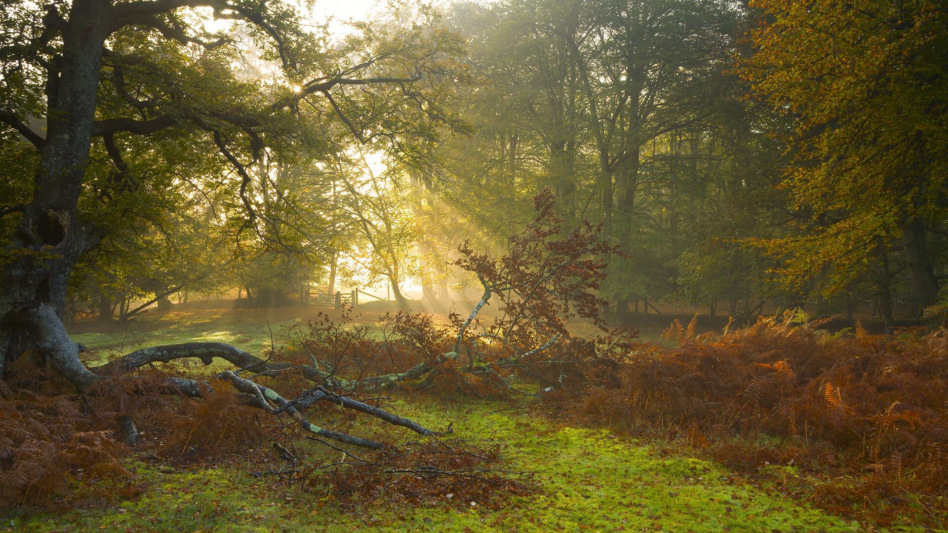 马德里的记忆，卡拉斯科统治全场背后的国境线