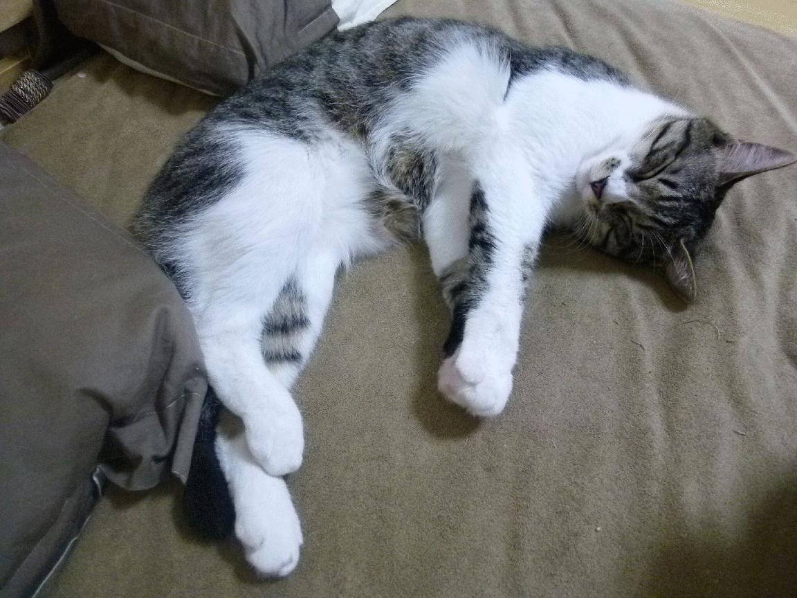 踏着乔丹的王朝烙印，杜兰特在联合中心的最完美一战