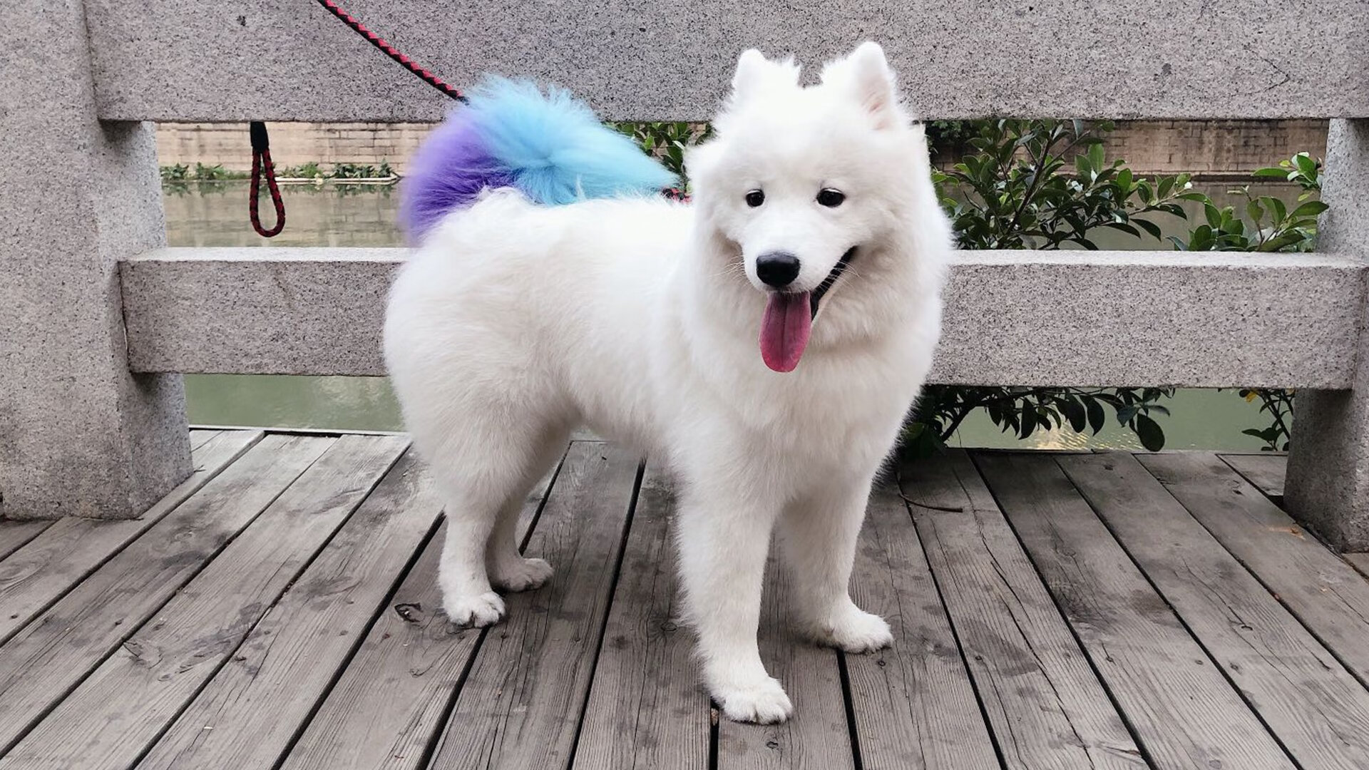 红土上的硬地之王，德约科维奇以澳网式统治力，在蒙特卡洛完成跨地表横扫