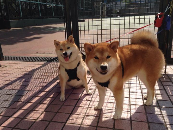 35分遗珠逆袭 与 21岁风暴的对话—如果詹姆斯‘空降’天王山