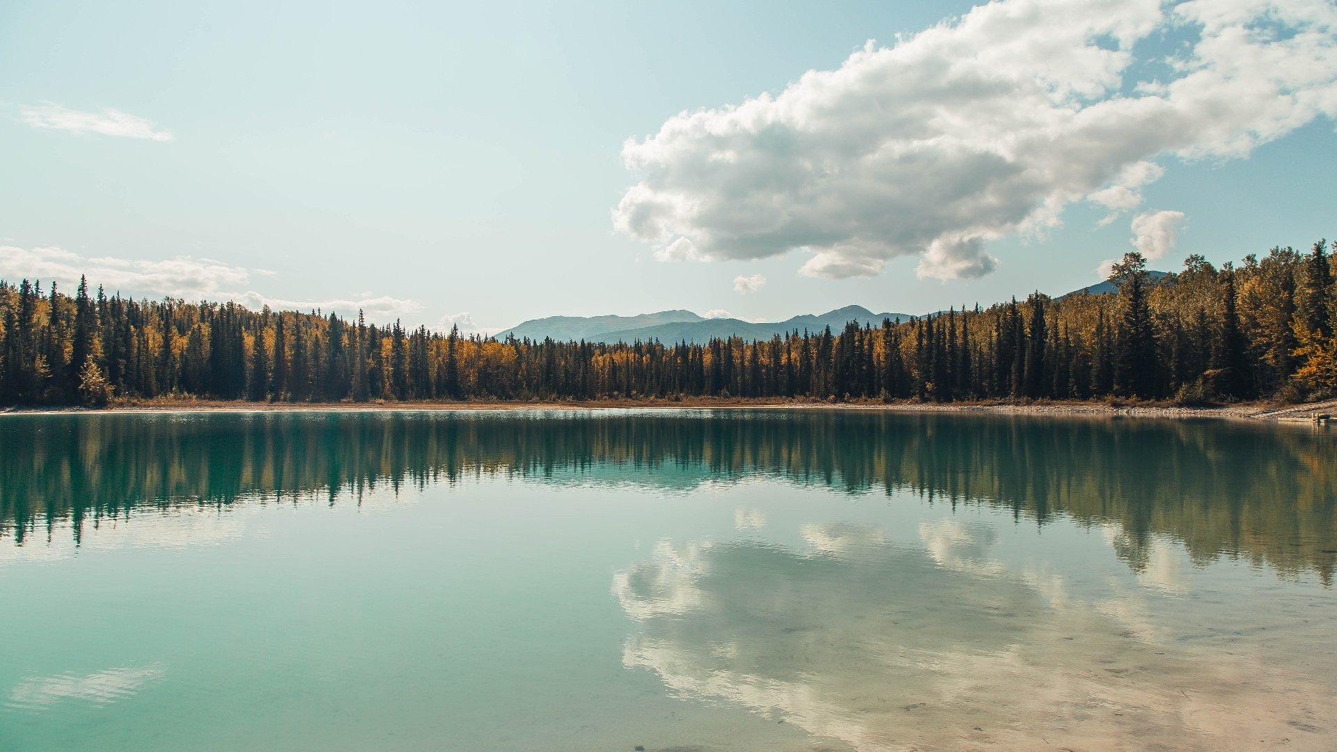 草原雄狮咆哮蓝桥,塞内加尔力量如何重塑英超争冠格局