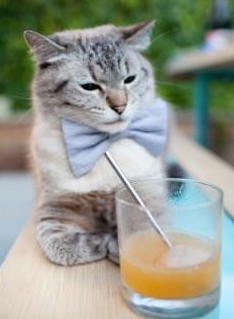 足球未来启示录，巴萨哲学如何压制美式体育霸权，久保建英欧冠封神记