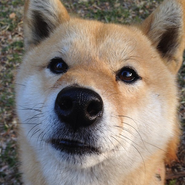 开云体育-攻城锤与穿云箭，步行者冲垮快船一役，贝恩如何成为关键先生