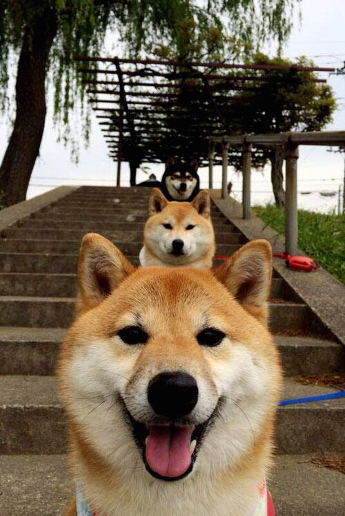 瑞典粉碎伦敦神话，曼城天才福登加冕王座