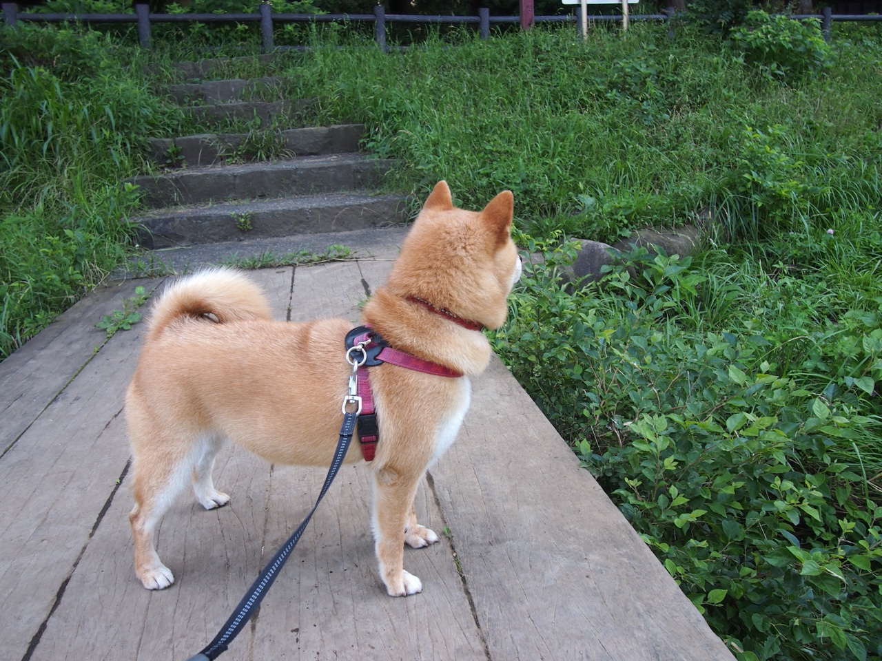 开云体育在线-无声巨浪，当突尼斯以沉默之矛刺穿美国的喧嚣霸权