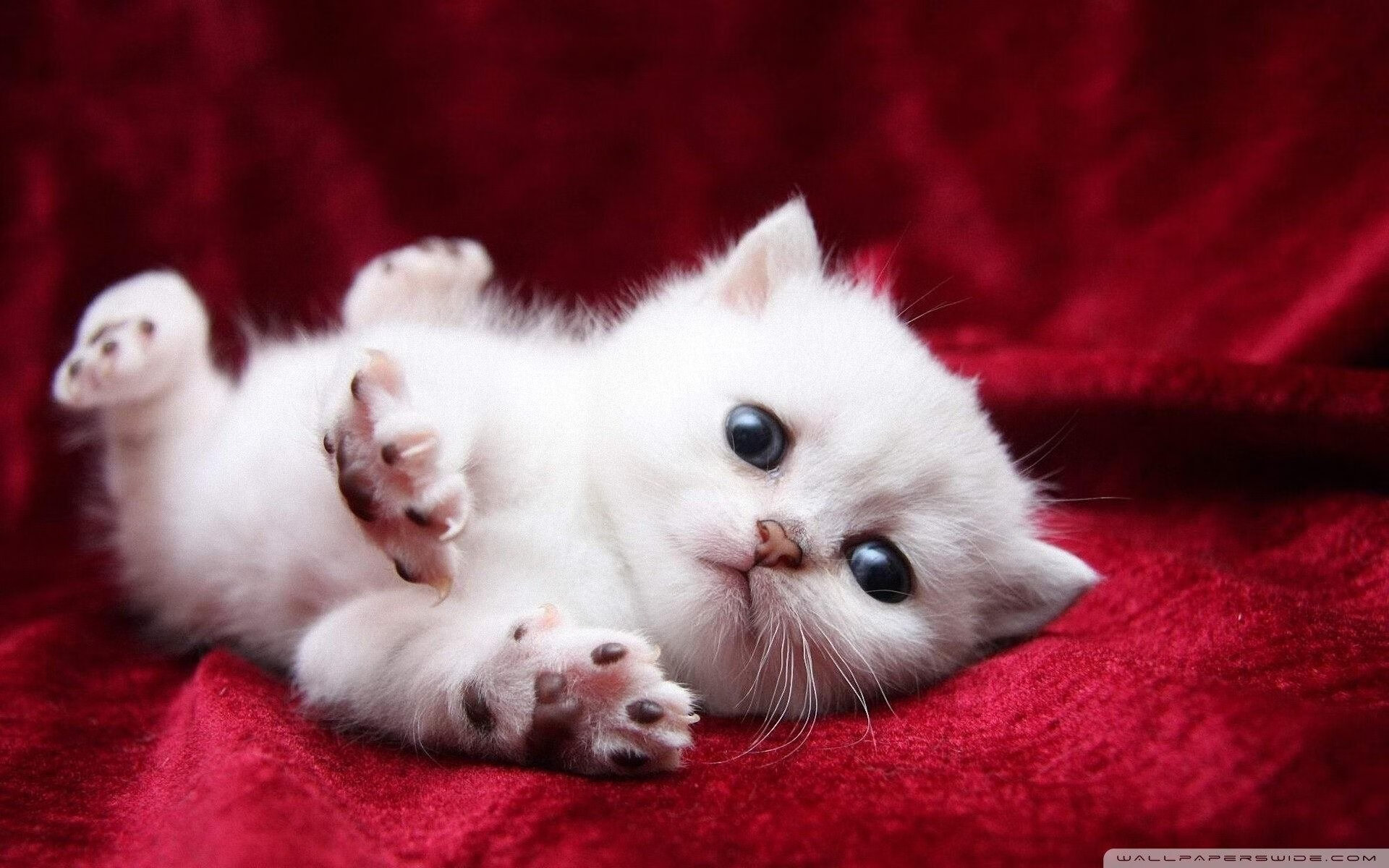 开云体育-风暴眼中的节拍器，若日尼奥的爆发与亚特兰大的终极一波流