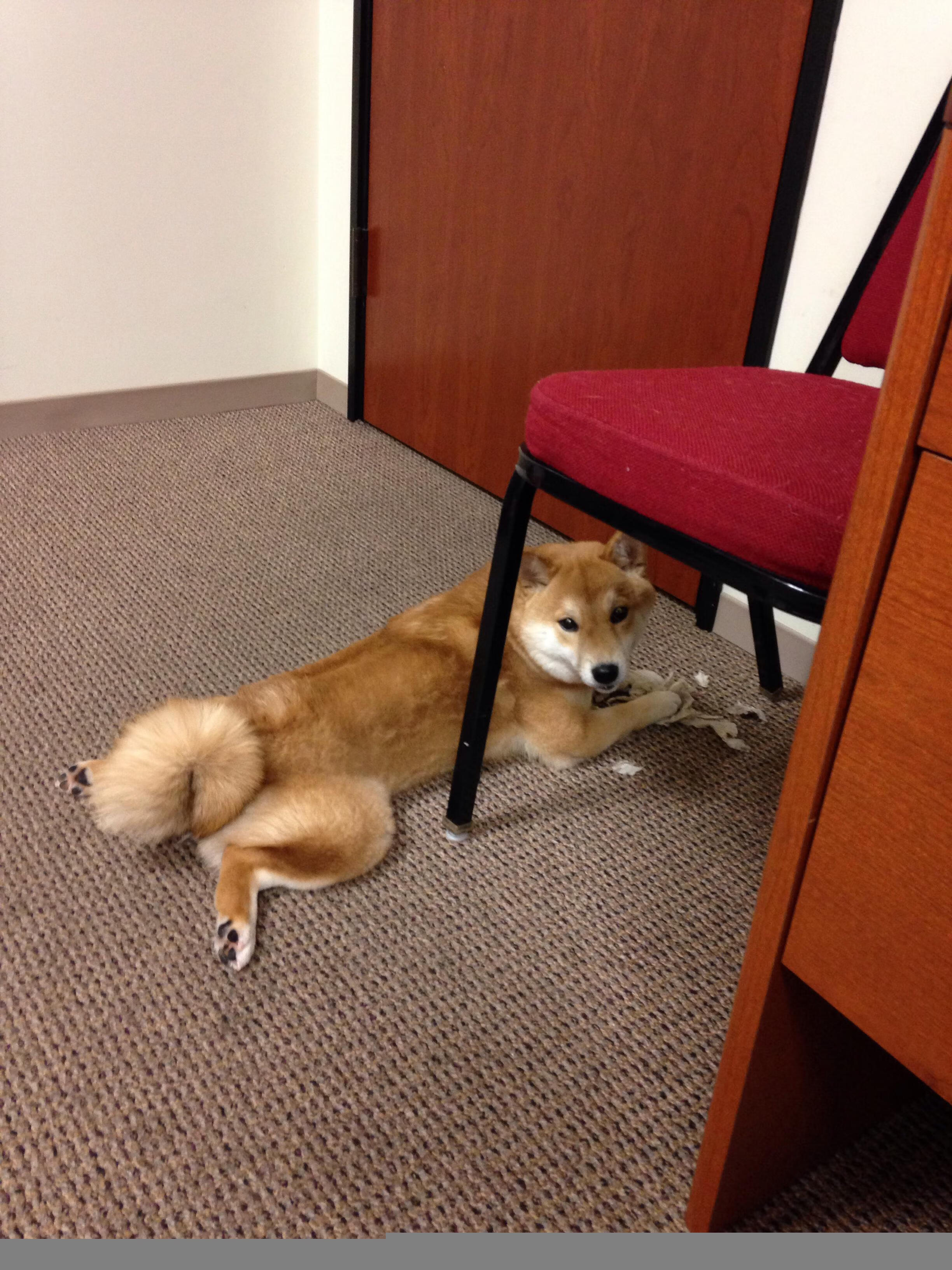 错位英雄，当23号爵士的坚盾遇上时间伪神魔