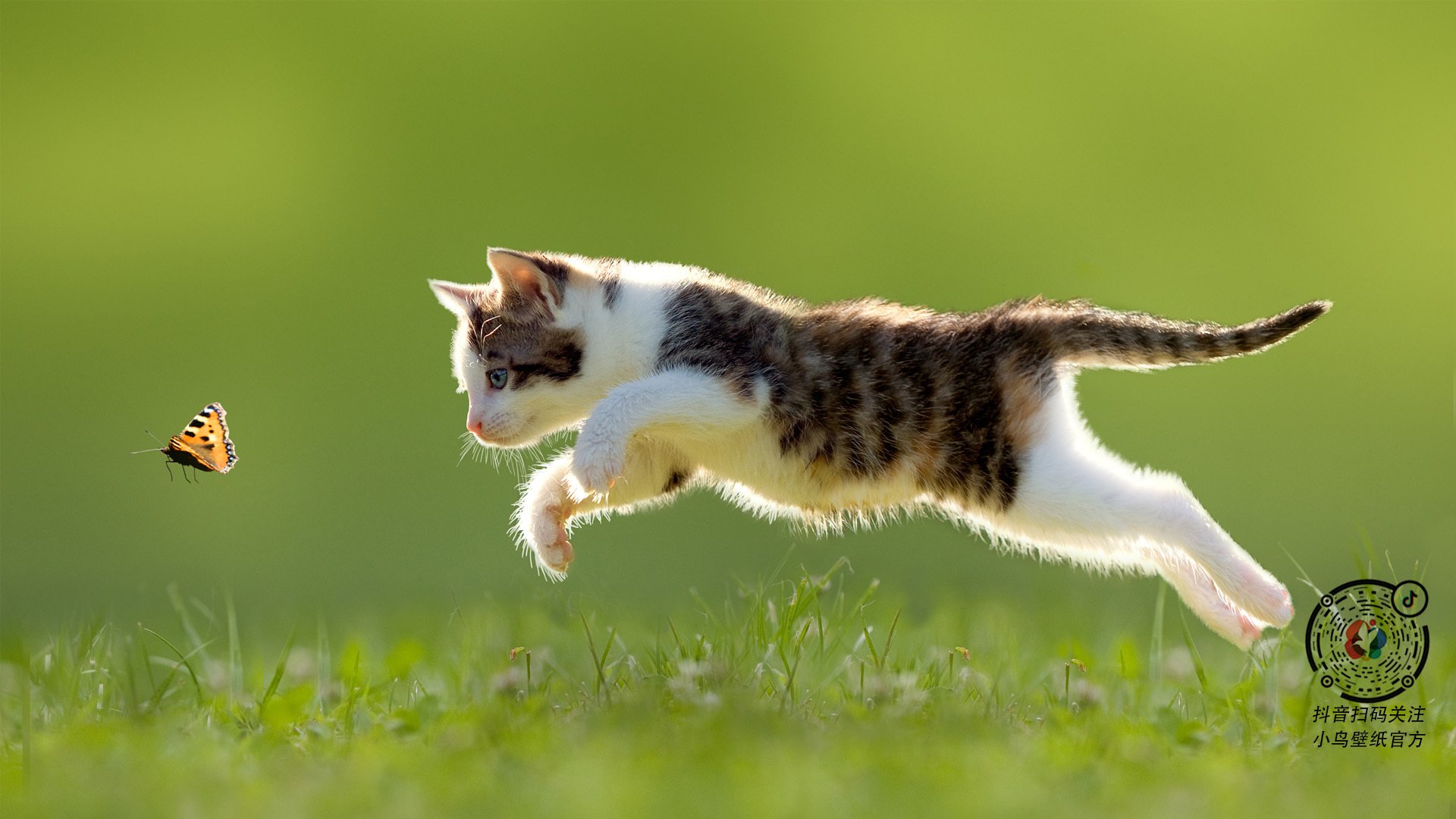 引擎轰鸣中的绿茵大脑，卡塞米罗如何化身F1争冠夜的节奏大师