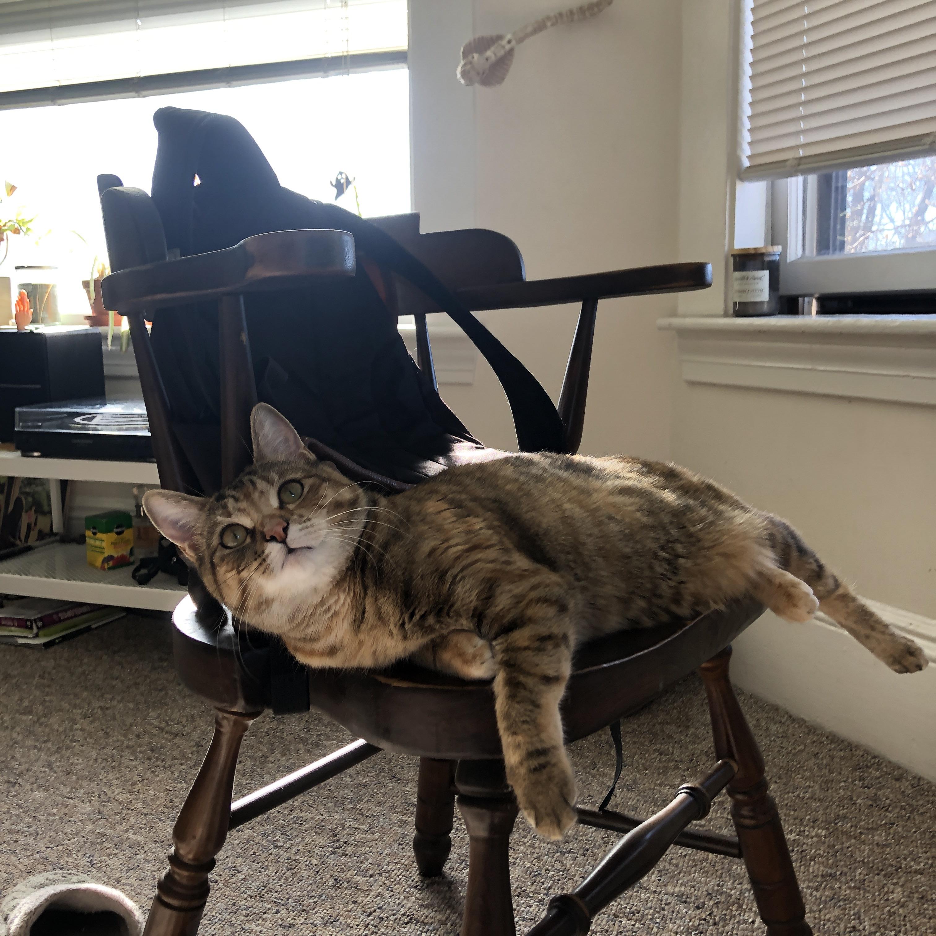 开云体育-从沉默到咆哮，莫兰特如何于东决绝境之夜完成灵魂救赎