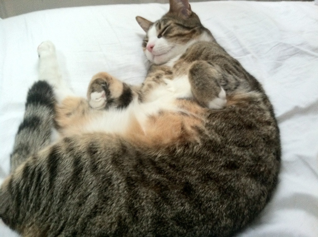 开云体育-双城记，当马克西接管伯纳乌，莫兰特击碎雷霆—关键时刻，英雄何必问出处