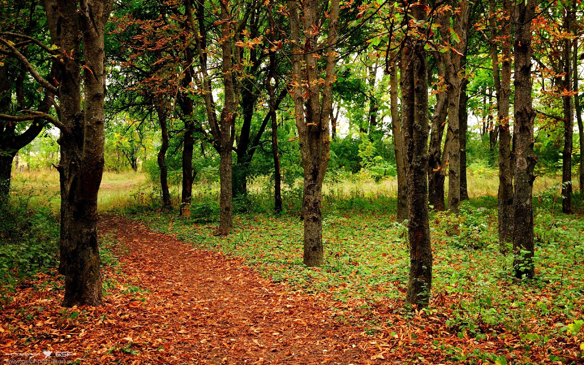 奥利维耶关键时刻一锤定音，莱比锡红牛横扫美国劲旅显霸气