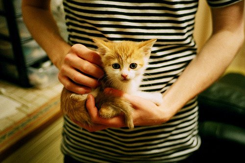 布伦森爆发成救世主，公牛生死战险胜魔术续命