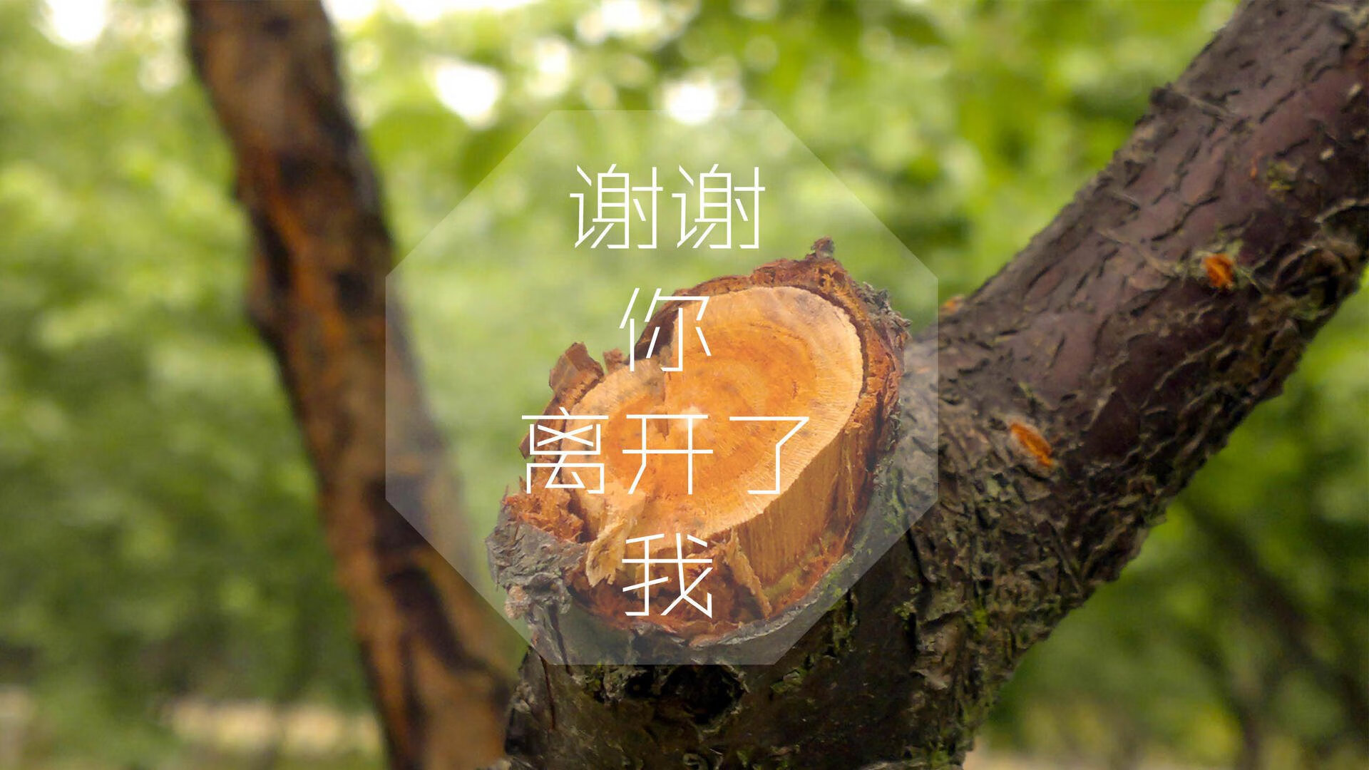 命运的交错，2026世界杯E组，加纳险胜葡萄牙，苏亚雷斯用一己之力点燃时间逆流的火焰