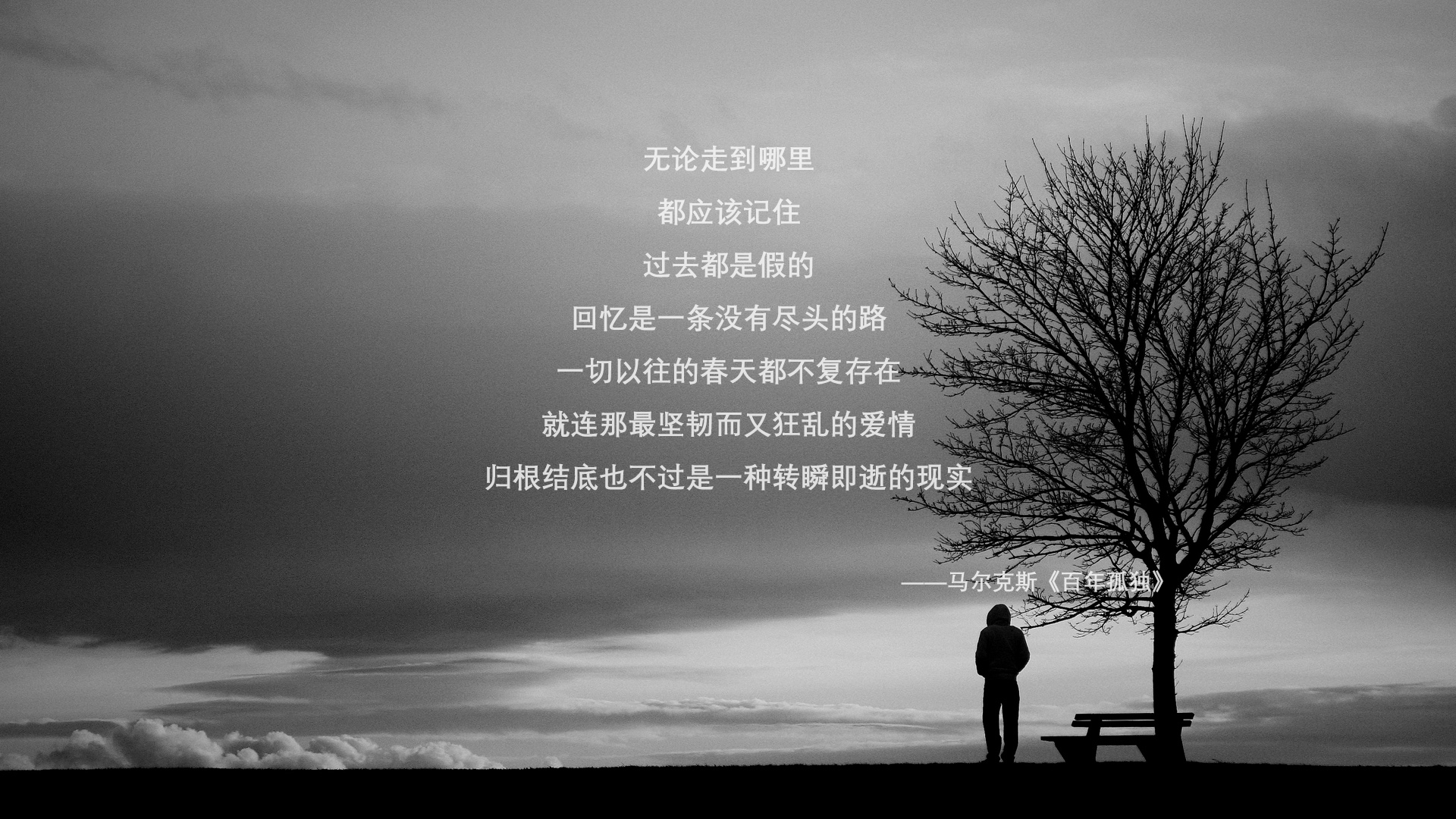 时间的裂缝，2026世界杯，当历史以另一种方式重演，荷兰的复仇与阿方索·戴维斯的致命谜题