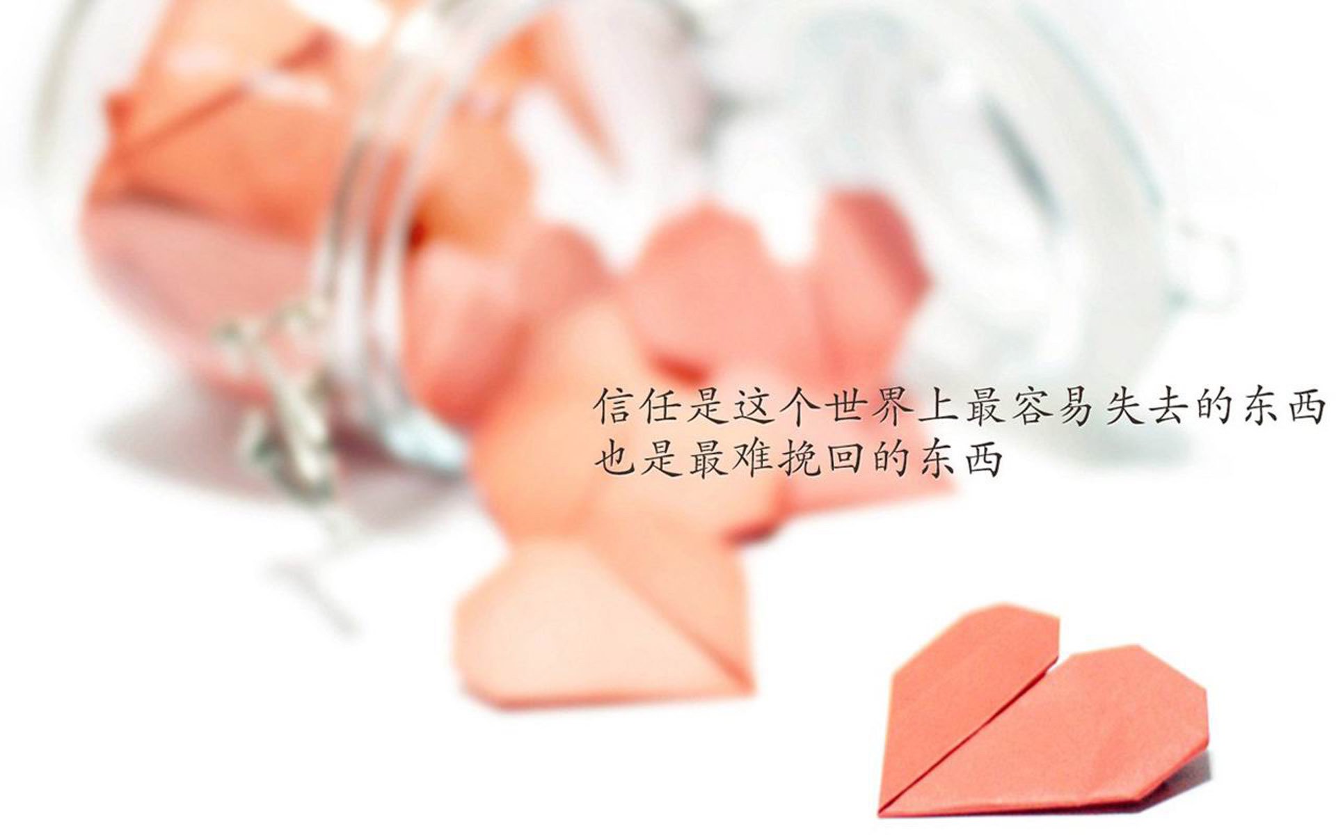2026世界杯A组首夜，印度钢铁之心，哥伦比亚悲情一瞬