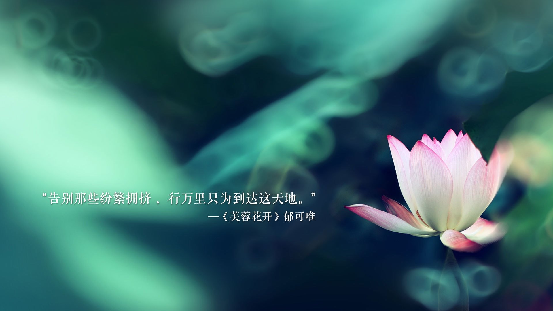 风暴中的橙衣军团，罗马尼亚控球革命，三笘薰撕裂郁金香防线—2026世界杯D组上演史诗级霸权更迭